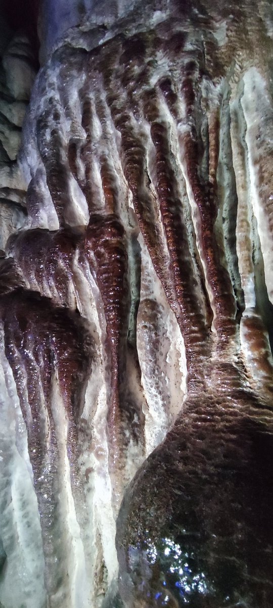 CapSkinRocket's tweet image. В окрестностях Мензоберанзана