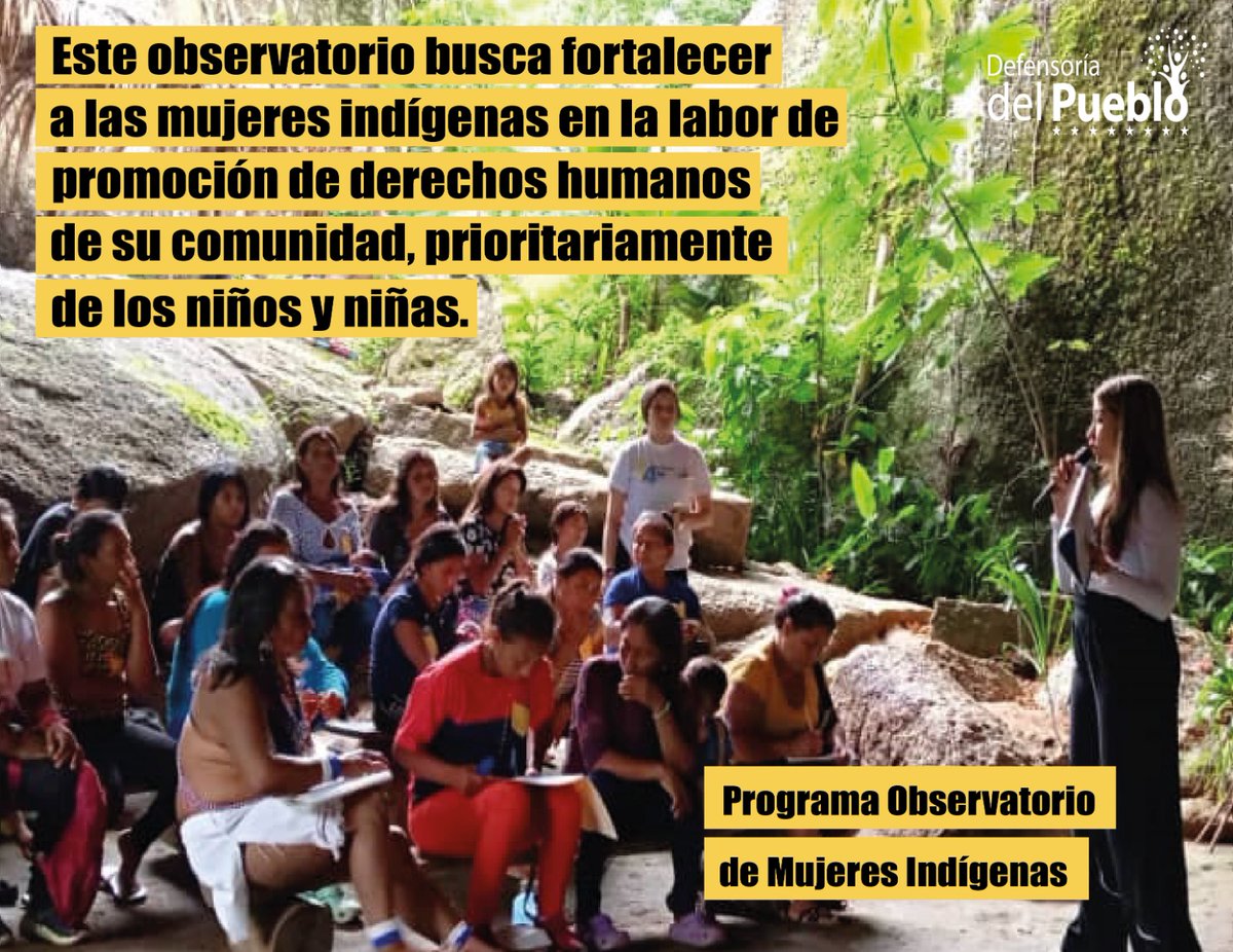 Este observatorio busca fortalecer a las mujeres indígenas en la labor de promoción de derechos humanos de su comunidad, prioritariamente de los niños y niñas. <a href="/Defensoria_Vzla/">Defensor del Pueblo</a>