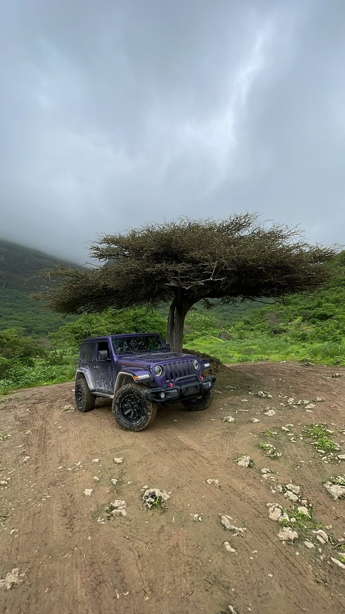 iiii_16's tweet photo. 2024 Salalah 🍃☁️ https://t.co/VQ603nUnlZ