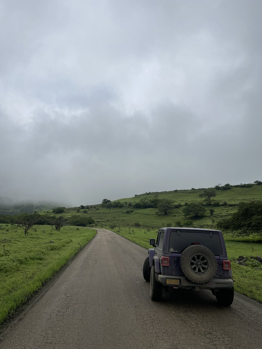 iiii_16's tweet photo. 2024 Salalah 🍃☁️ https://t.co/VQ603nUnlZ