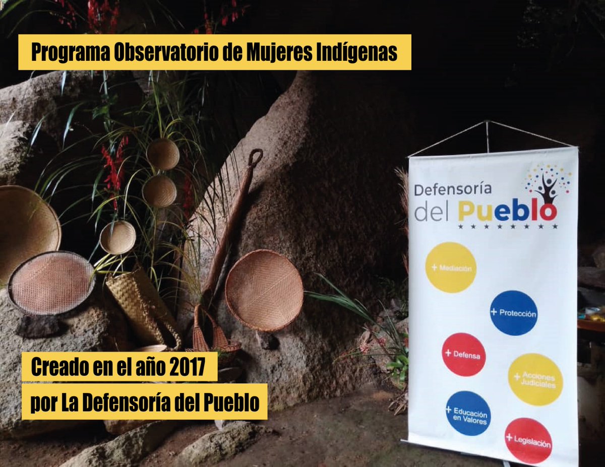 En el año 2017, la @Defensoriavnzla crea el Observatorio de Mujeres Indígenas como una herramienta de participación, organización, investigación y comunicación para la promoción, defensa y vigilancia de los DD.HH. de las mujeres indígenas.