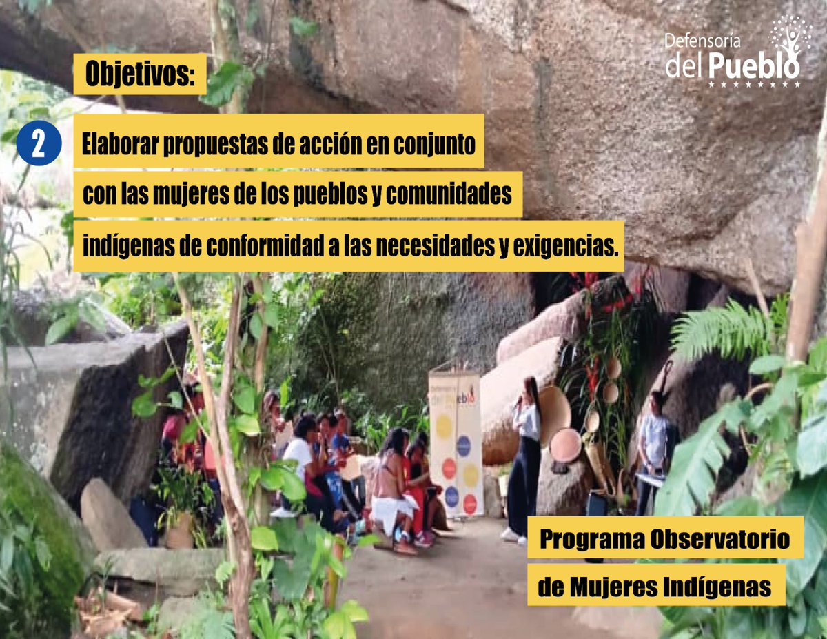 2.Elaborar propuestas de acción en conjunto con las mujeres de los pueblos y comunidades indígenas de conformidad a las necesidades y exigencias. <a href="/Defensoria_Vzla/">Defensor del Pueblo</a>