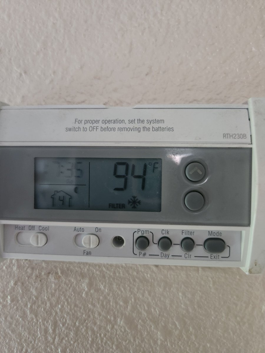 Lily bun tweet media