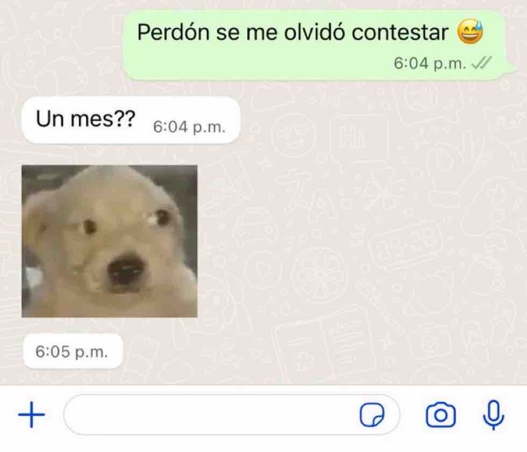 Guarromantico_'s tweet photo. Yo: Por qué nadie me habla?

Also yo: https://t.co/1aB5KwBbqq