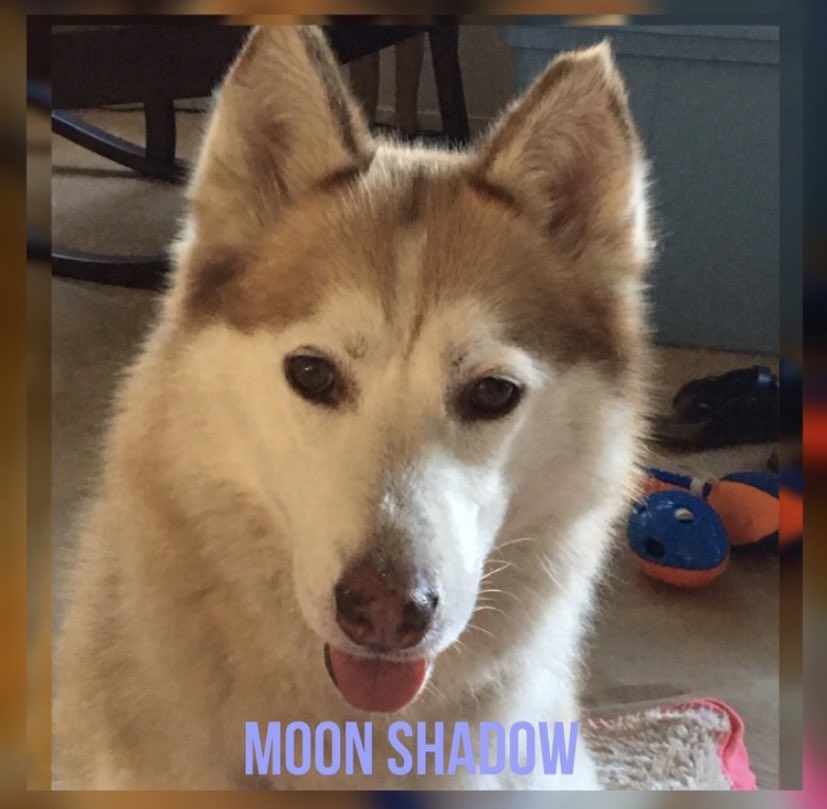 Debbie Green tweet media