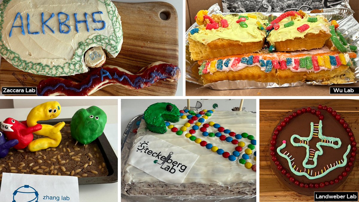 Columbia Vagelos College of Physicians & Surgeons (@columbiaps) on Twitter photo Ready, Set, BAKE!
ICYMI Aug. 1 was RNA Day, and <a href="/Columbia/">Columbia University</a> RNA Initiative scientists broke out their baking trays for the group's 2nd annual cake competition.
Which is your favorite? Cakes from the <a href="/SaraZaccara/">Sara Zaccara</a> <a href="/LandweberLab/">Laura Landweber</a> <a href="/LenaSteckelberg/">Lena Steckelberg</a> <a href="/wu_xuebing/">Xuebing Wu</a> <a href="/chaolinzhang/">Chaolin Zhang</a> labs. Ready, Set, BAKE!
ICYMI Aug. 1 was RNA Day, and <a href="/Columbia/">Columbia University</a> RNA Initiative scientists broke out their baking trays for the group's 2nd annual cake competition.
Which is your favorite? Cakes from the <a href="/SaraZaccara/">Sara Zaccara</a> <a href="/LandweberLab/">Laura Landweber</a> <a href="/LenaSteckelberg/">Lena Steckelberg</a> <a href="/wu_xuebing/">Xuebing Wu</a> <a href="/chaolinzhang/">Chaolin Zhang</a> labs.