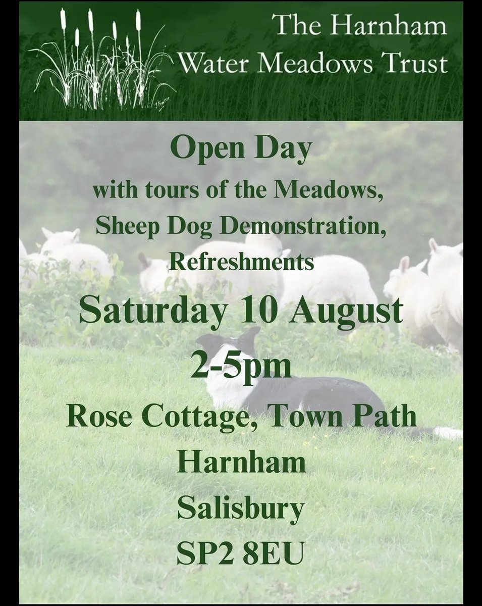 Harnham Parish (@harnhamparish) on Twitter photo The <a href="/HarnhamWMT/">Harnham Water Meadows</a> are having an open afternoon tomorrow with tours of the water meadows, sheep dog demonstration & refreshments. 2-5pm meet at Rose Cottage (adjacent to back gardens of the Old Mill pub) for tours etc The <a href="/HarnhamWMT/">Harnham Water Meadows</a> are having an open afternoon tomorrow with tours of the water meadows, sheep dog demonstration & refreshments. 2-5pm meet at Rose Cottage (adjacent to back gardens of the Old Mill pub) for tours etc