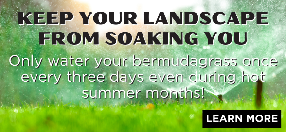 🔥 Hot-off-the-press has double meaning this month in our watering reminder. We share the latest record temperatures, tips on plant care during extreme heat, shade tree programs (we need more), &amp; how to keep your landscape from soaking you.
#waterwisemesa

content.govdelivery.com/accounts/AZMES…