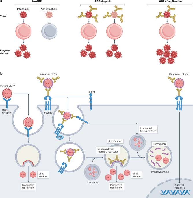 Nature Rev Immunol tweet media