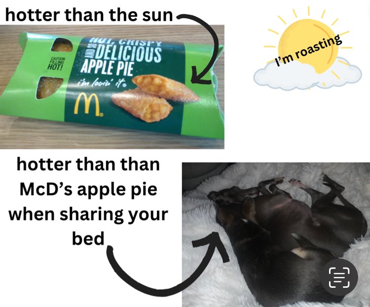 helenraw's tweet image. As I head to bed with the #DynamicDuo AKA #MonsterMunch &amp;amp; #DinkyDaphs for the second time in my life, I leave you with this…😹🥵

Night night x

#TheCatAndDogLady