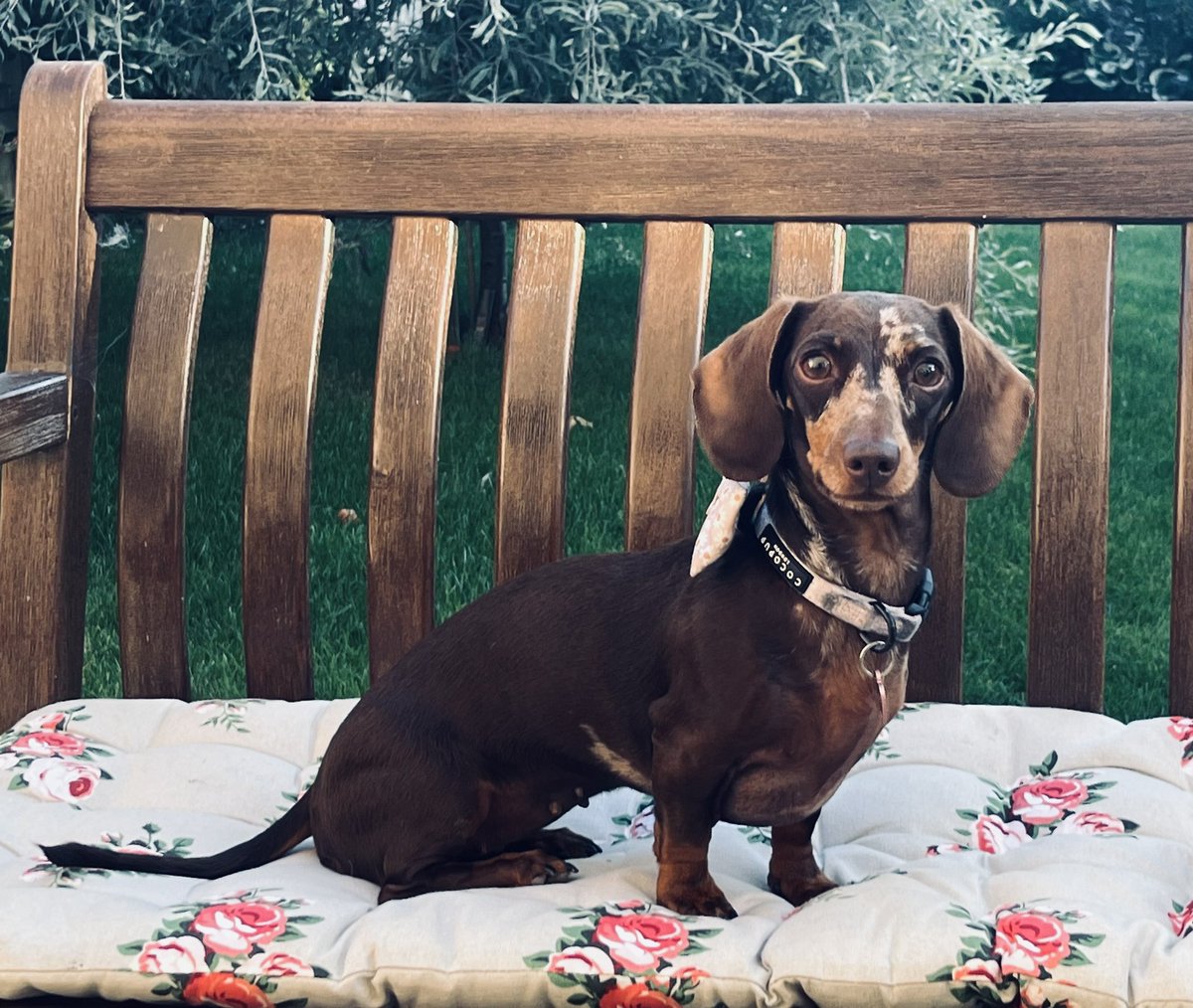 For any <a href="/alwayssunny/">It's Always Sunny</a> fans this is my impression of Mac in Guiginos 🇮🇹 
<a href="/RMcElhenney/">Rob Mac</a>