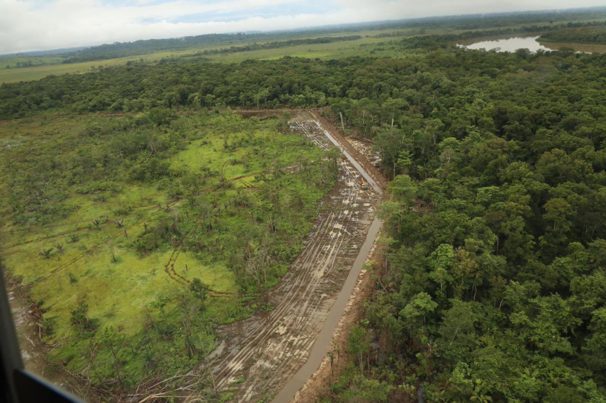 Ministerio de Ambiente de Panamá tweet media