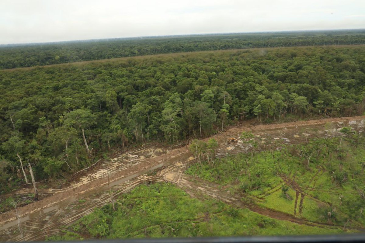 Ministerio de Ambiente de Panamá tweet media