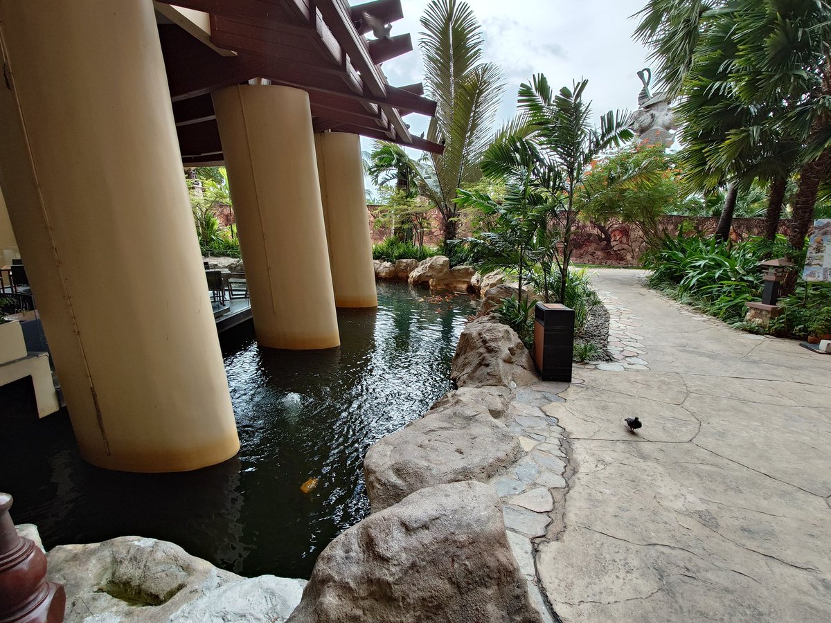 systemf00641's tweet image. パタヤビーチ🌊🌊🌊☀️