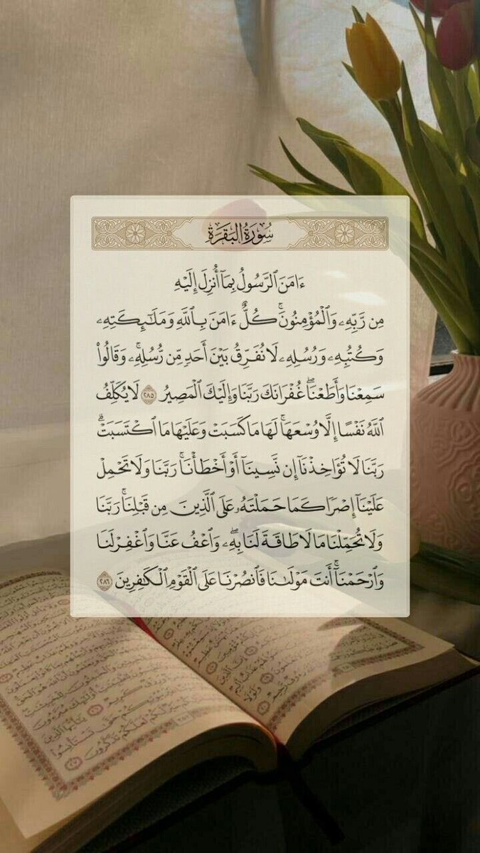 r1_xti's tweet photo. لا تنسَون الوتر ، قراءة سورة الملك ،خواتيم البقرة وأذكار النومّ 🤍

#الوتر https://t.co/MV8oOxZKnp