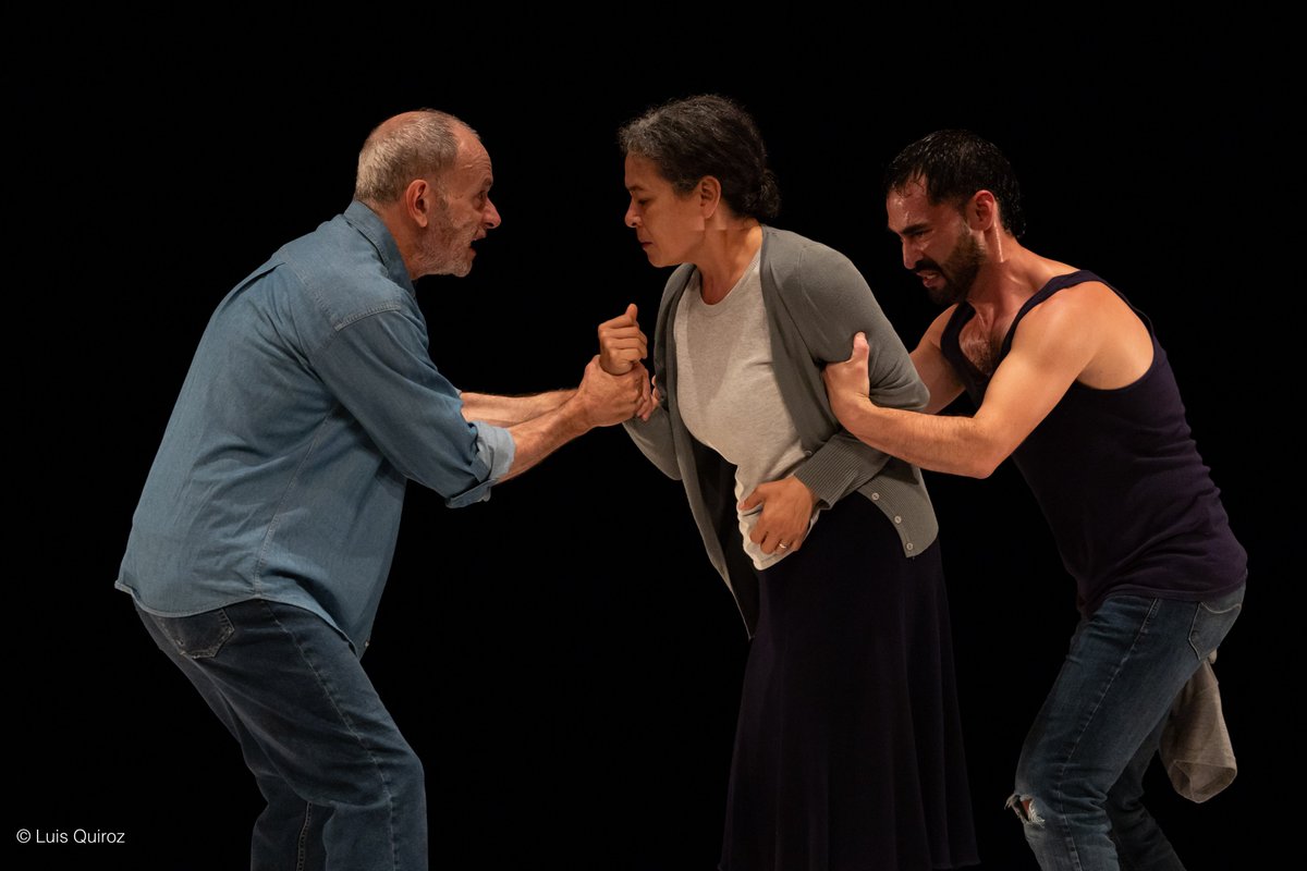 Homo Espacios tweet media