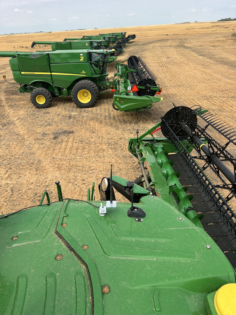 Brent Kittelson tweet media