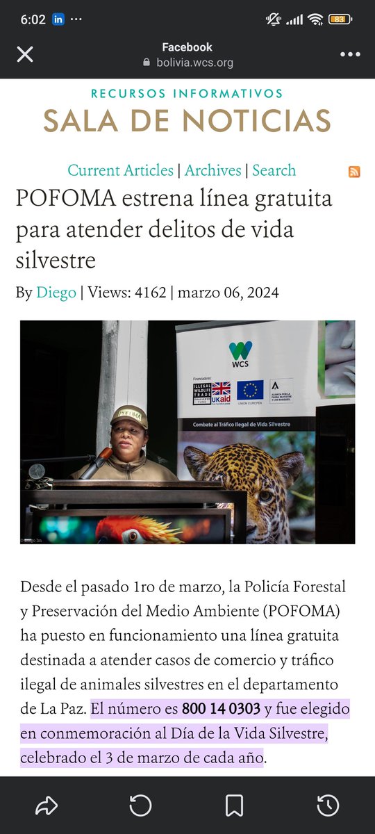 ¡Gran noticia! 🌿🐾

POFOMA ha lanzado una línea gratuita para denunciar delitos contra la vida silvestre. Ahora puedes reportar casos de tráfico ilegal, caza furtiva y otros crímenes que amenazan nuestra biodiversidad marcando el 800 14 3448.
bolivia.wcs.org/es-es/Recursos…