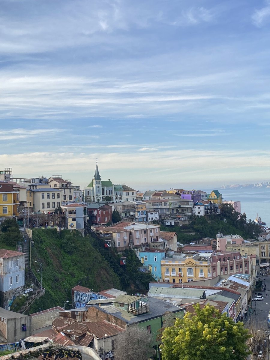 NANOSW CAMPEON DE AMERICA 🦍🇳🇬 tweet media