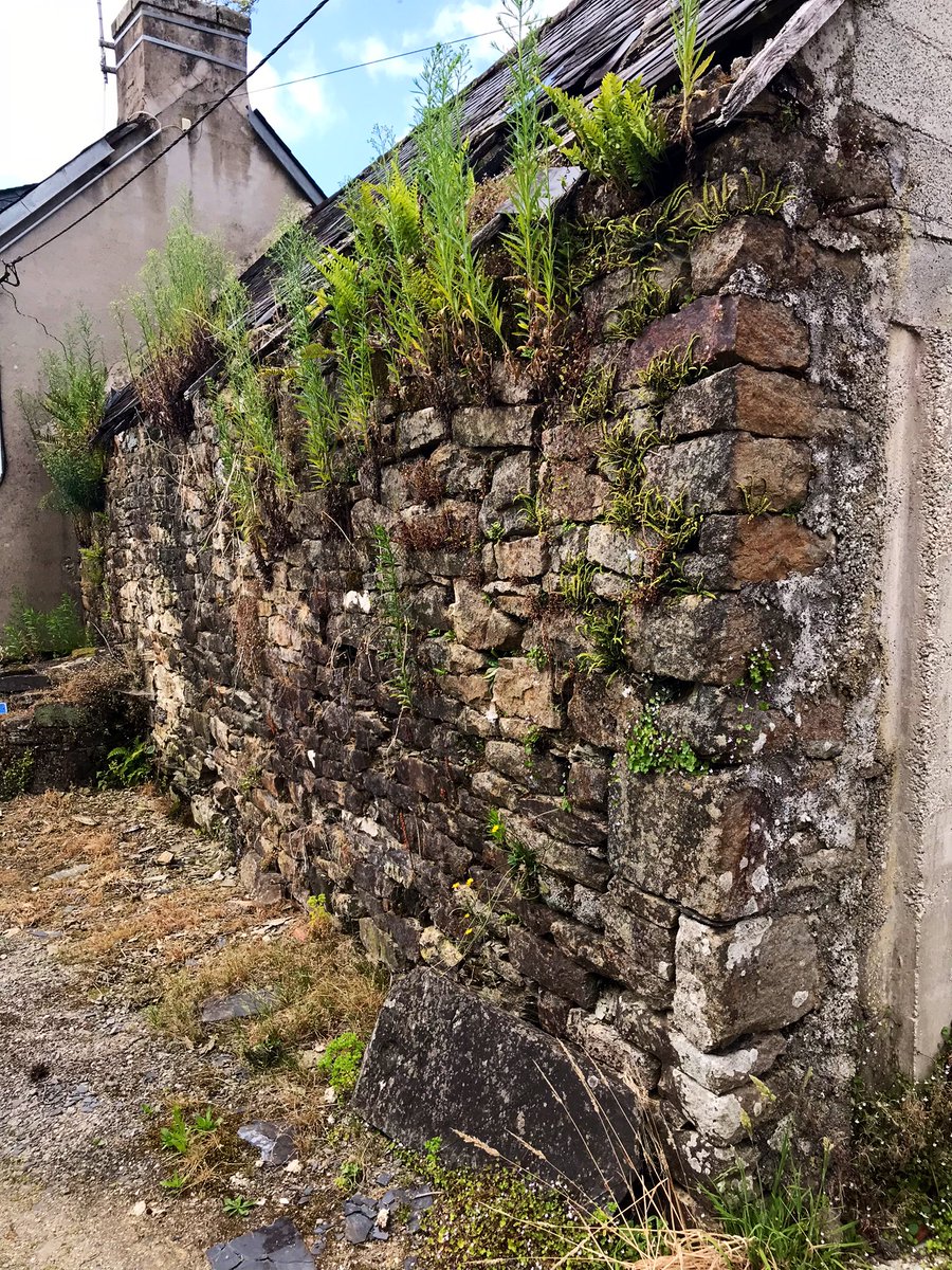 Maurice Backerra tweet media