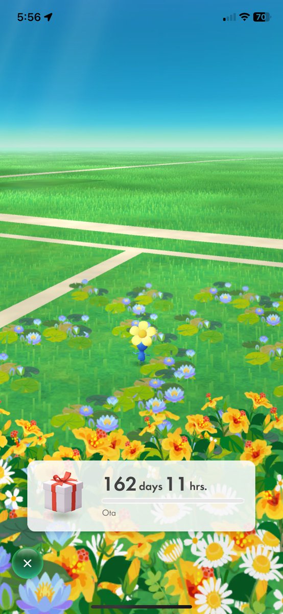 heartmasa's tweet photo. Just sent my #Pikmin on a journey back to where u found him in Japan lol. See you in 162 days little guy 💙 https://t.co/ZKecGBsGKM