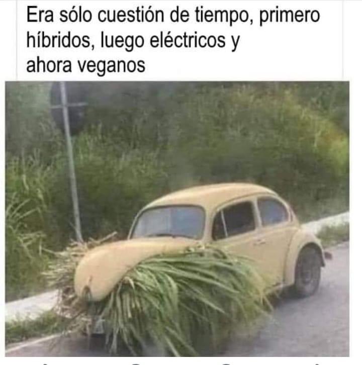 ⁦<a href="/frankymostro/">Franky Mostro</a>⁩ #viernesderoñas se me hizo gracioso para este viernes de roñas Franky