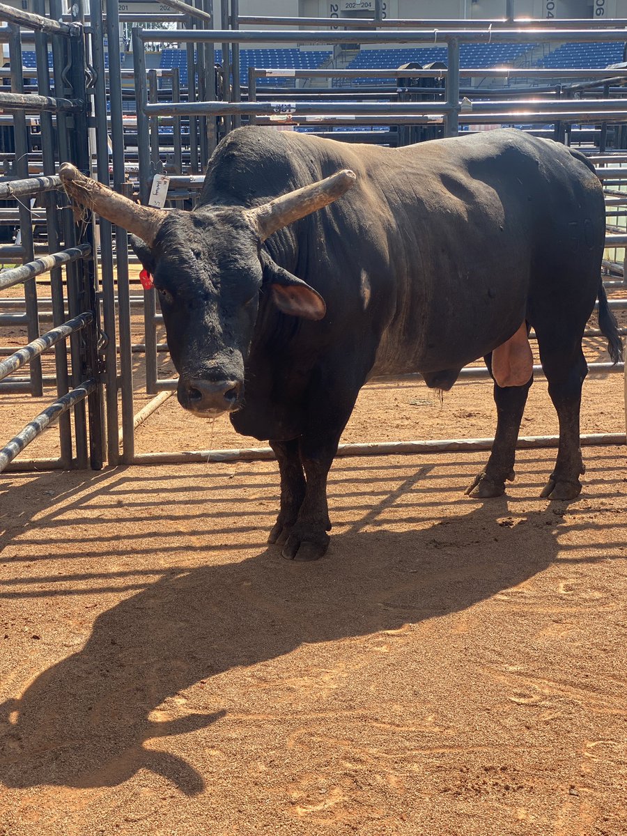 Kelly Peoples tweet media