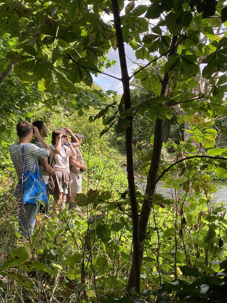 Sun 4 August 2024, London Bird Club Walk <a href="/LondonBirdClub/">London Bird Club</a> <a href="/LNHSoc/">LNHS</a> to Footscray Meadows. Birds, butterflies and dragonflies in chalkstream and grassland. For free, guided nature walks in London, download the LNHS Programme on lnhs.org.uk
#londonwildlife #londonbirds