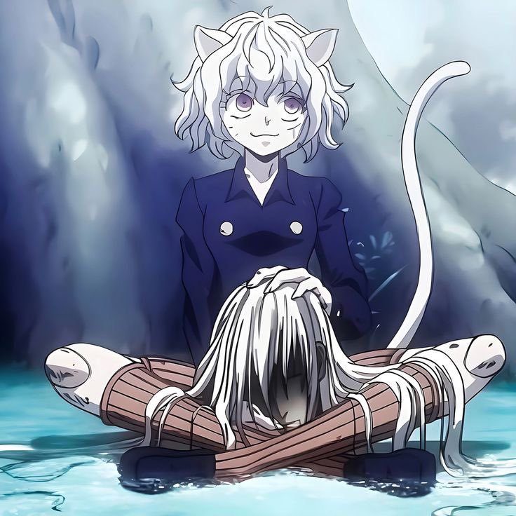 Hunter x Hunter (@hxhvizuals) on Twitter photo 