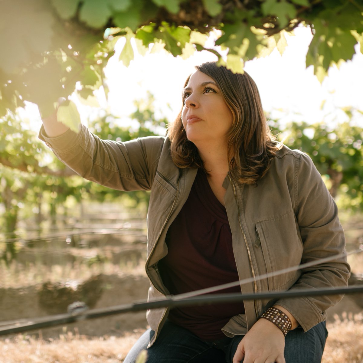 Our very own Vice President of Winemaking Katie Nelson is an inspiration to us all! 

Read more about Katie and her story in this @sip_magazine feature ➡️ sipmagazine.com/katie-nelson-a…