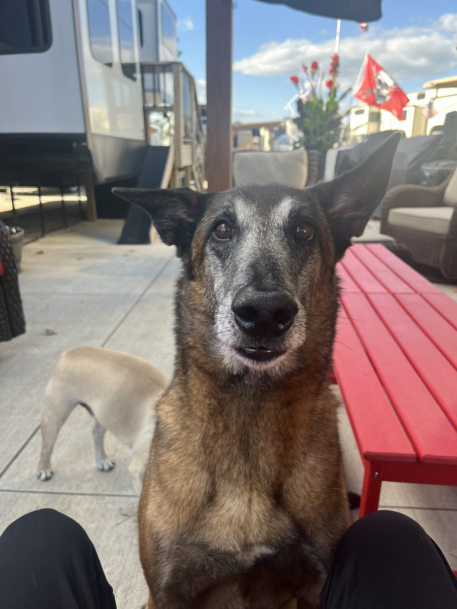 I haven’t tweeted in a while. Mom has been busy at work. And I have some health issues causing me to sleep a lot.  But I can’t wait to enjoy this beautiful weather this weekend at our camp site.