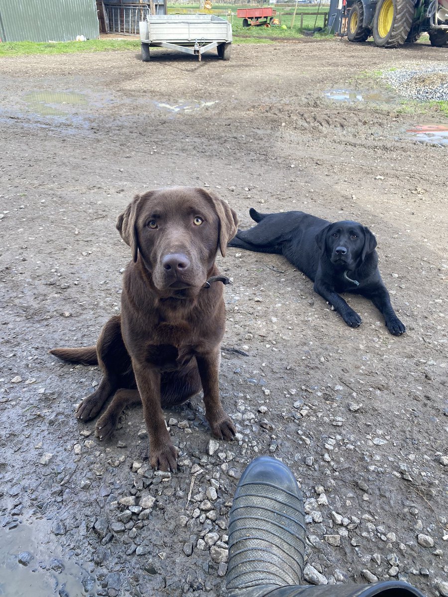 Top 50% farmer tweet media