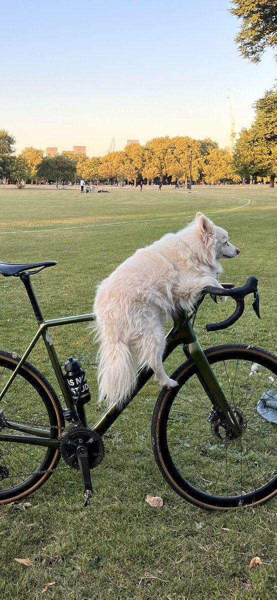 honor elliott tweet media