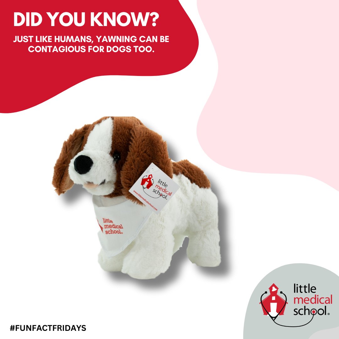 Littlemedschool tweet picture