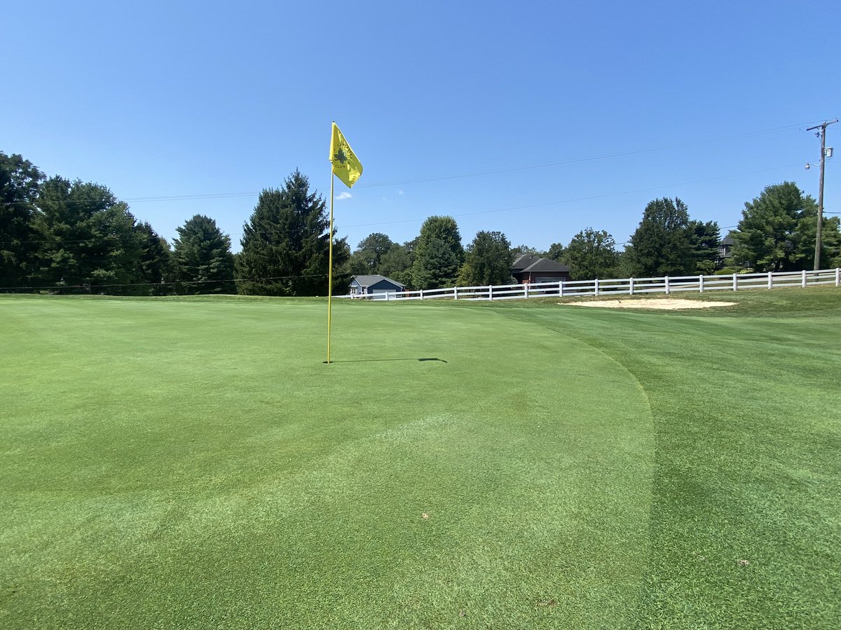 Guy Cipriano tweet media