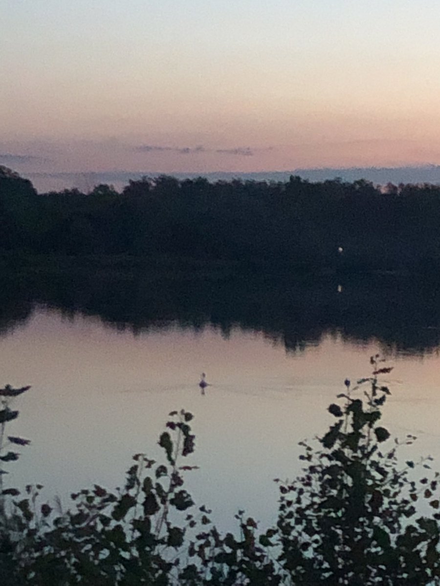 Chatsuchi tweet media