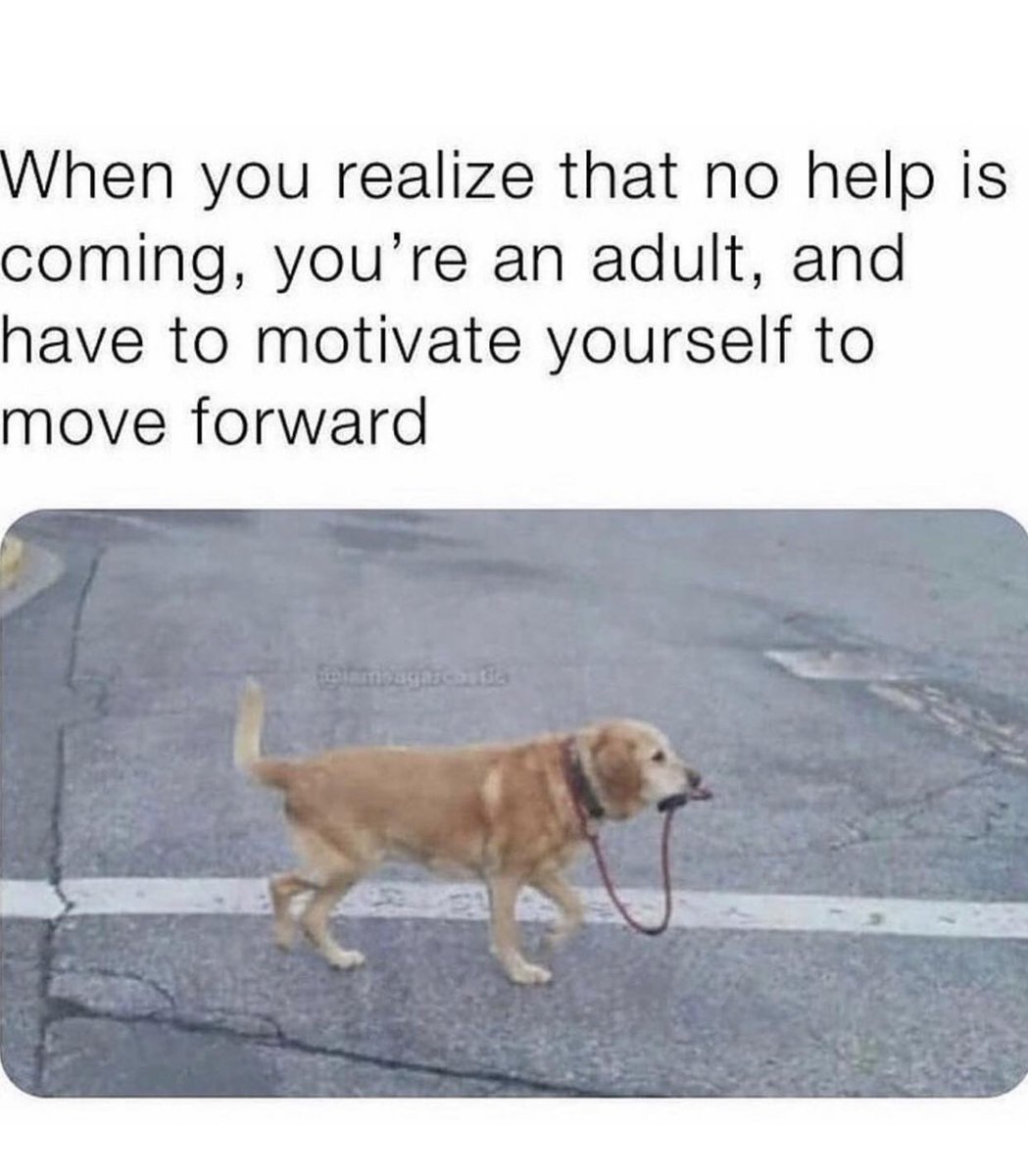 TheDogsLife_'s tweet photo. That me everyday ๐
#cutedogsofig #dogeyes #animalcuteanimal #youngdog #petlife #dogoftheday #funny #dogstagram https://t.co/lsXR6qCo3Q