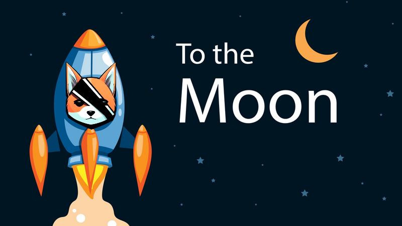 ByteDogToken's tweet photo. Next stop, the moon. 🌕🚀 #Byte $Byte #ToTheMoon https://t.co/1yhE76LeQ9