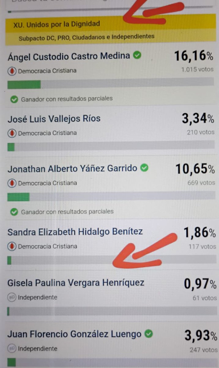DnissPaulina's tweet photo. Estimado @joseantoniokast  @PRChile  la verdad entiendo las estrategias políticas, las cuales ustedes tanto cuestionaban, están peor.  Hoy en #SanPedrodelaPaz llevan a una candidata la cual nos causó tanto daño post #EstallidoDelictual zurda total, decepción de Republicanos https://t.co/S5Ypxh5SzJ