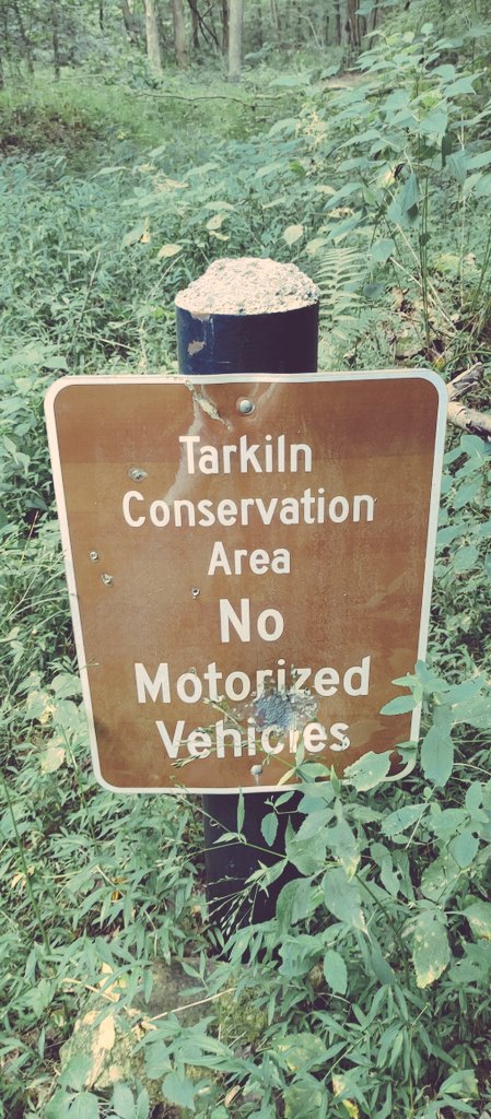 MiracleMatt's tweet photo. Today, I visited the site of Fort Underwood. I met the nephew of the subject of a new poem I have been writing. I went in Tark Hill Cave and was born again. The world will turn to face you.
#LocalNews #history #historicalsite #caving #exploreky #cartercountybeauty #Kentucky https://t.co/pxX2xBlVeY