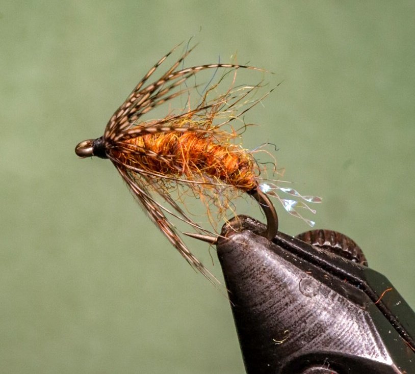 debpaskall's tweet photo. The Encore. 
Very effective as a scud or caddis imitation. Leaving Monday for a week trip to the BC Interior for some stillwater fishing. 
#flytying #flyfishing #spritehooks #partridgeproteam @SpriteHooks https://t.co/clGDj1x9hN
