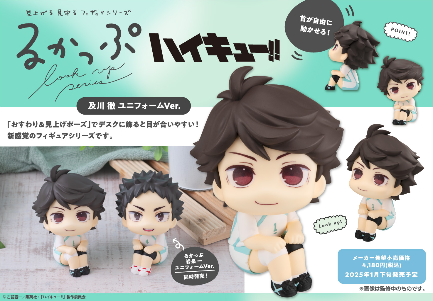 るかっぷ ハイキュー!! 及川徹 岩泉一 限定つき ユニフォームver