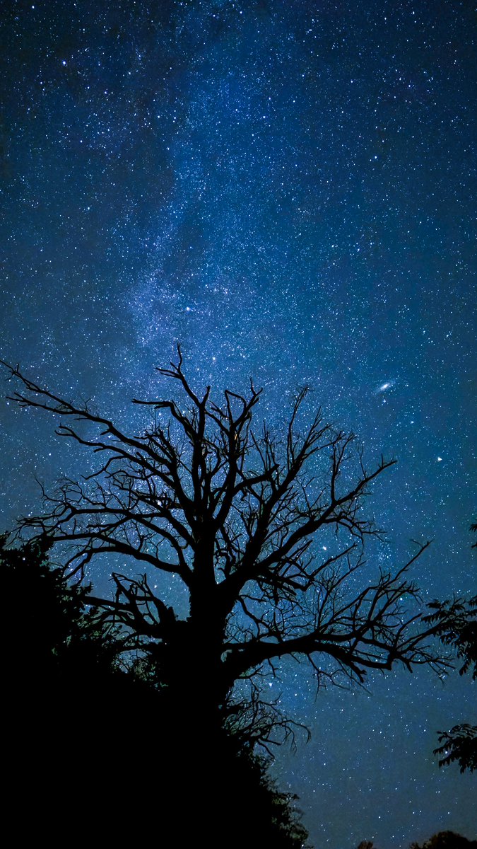 gaspardooo's tweet photo. Je suis choqué j’ai fait une photo sur laquelle on aperçoit la galaxie d’Andromède hahaha donc là avec un iPhone on peut voir une galaxie située à 2,5 milliards d’années lumières de nous !?? https://t.co/h3H2EBGhHN