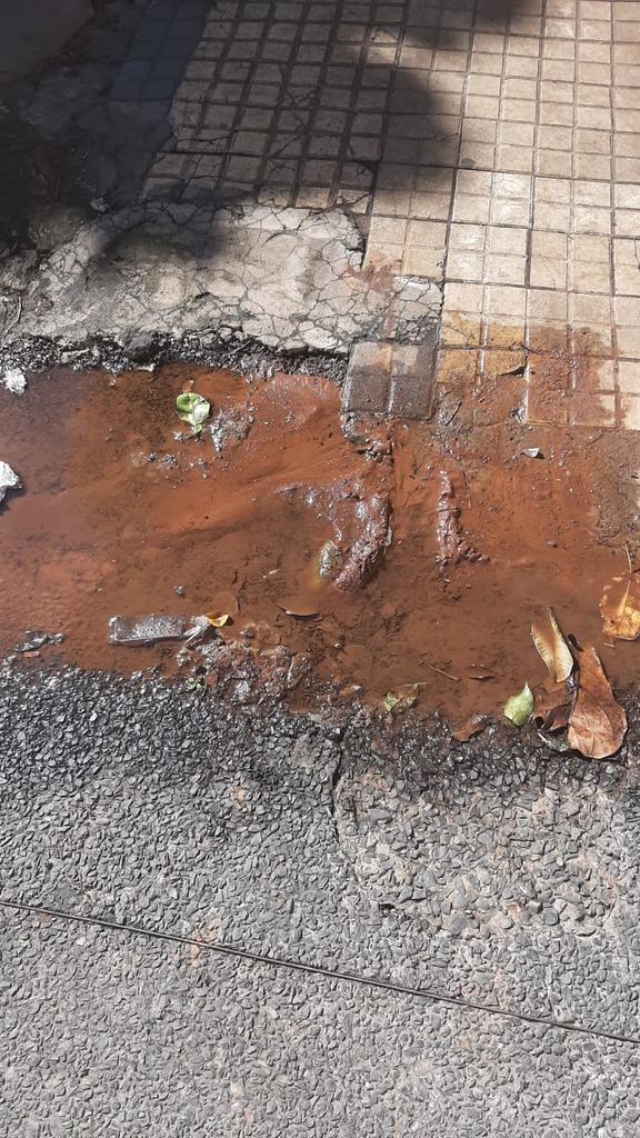 Ana Maria Rodriguez tweet media