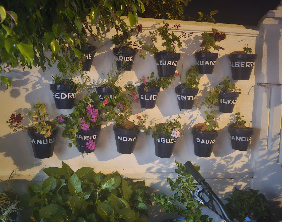 Mi padre ha puesto una maceta por cada uno de sus nietos y nietas ❤️