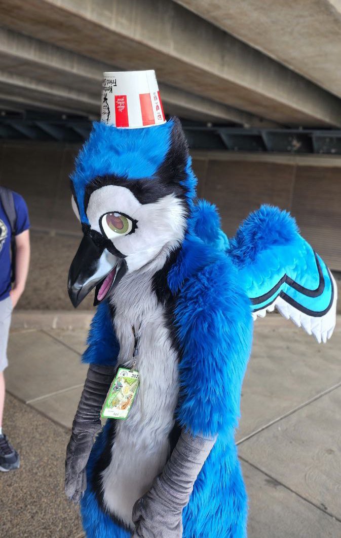 AzulyTheBirdy tweet media