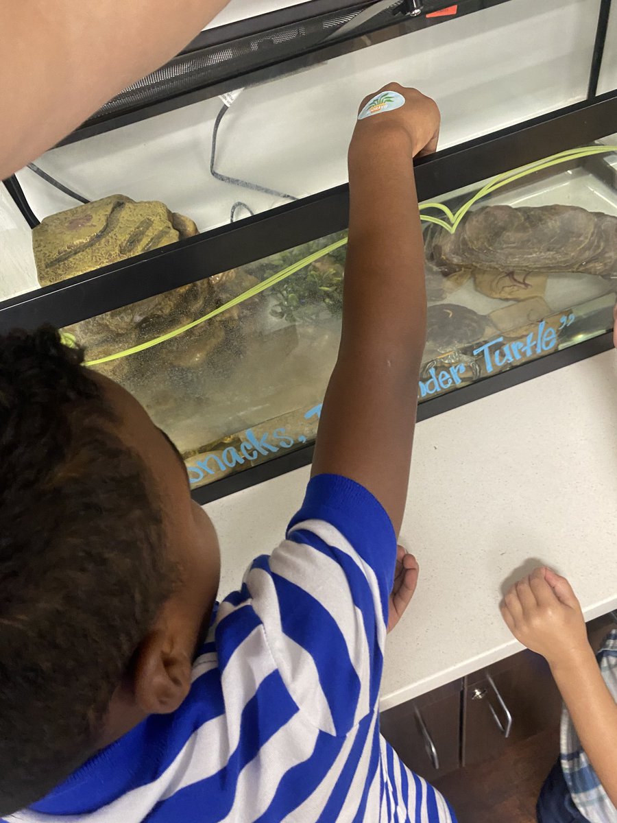 Kelli Graham tweet media