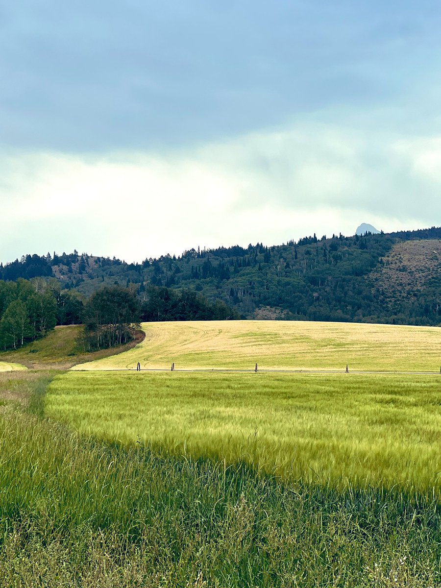 kapowder's tweet image. Just The Nip
#Tetons