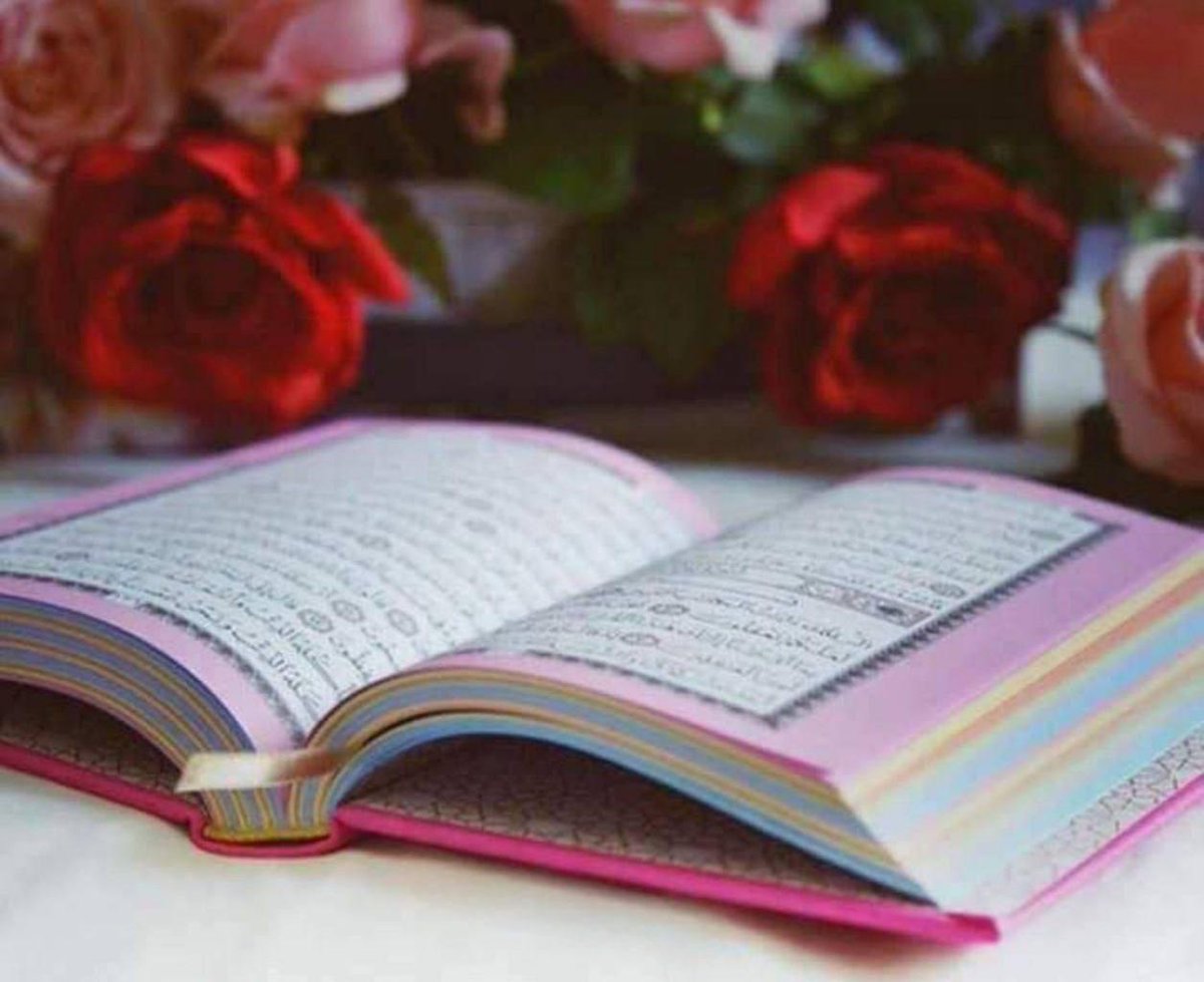 Hasan Duran (@dyranhasan41758) on Twitter photo 