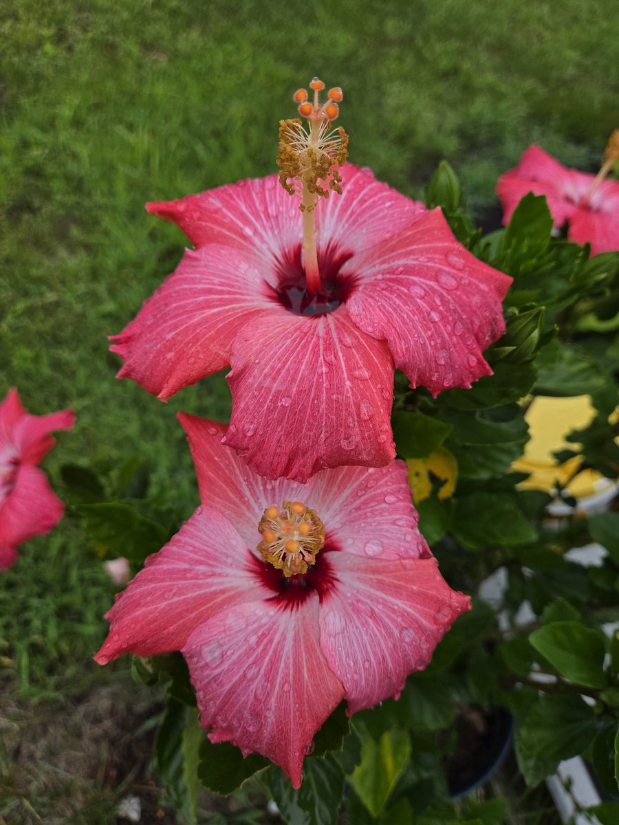 #beautifulnature